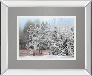 Frosty Morning By Mike Jone 34X40 Mirror Frame Print