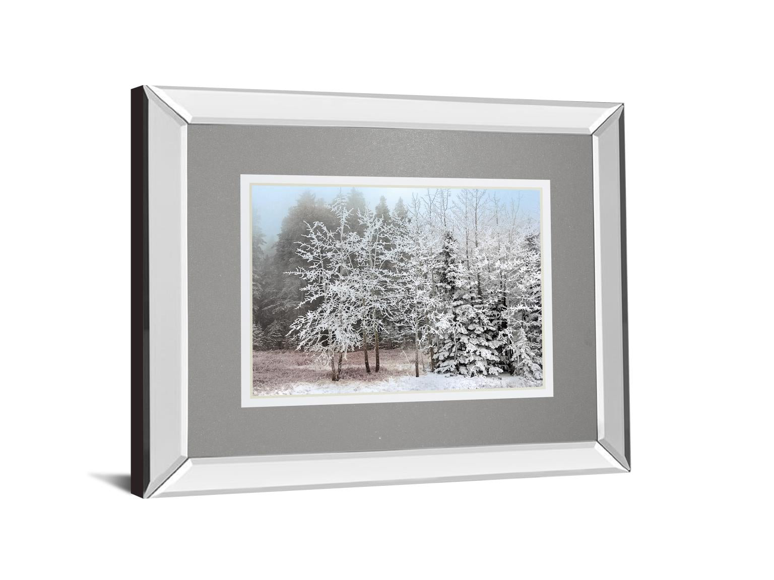 Frosty Morning By Mike Jone 34X40 Mirror Frame Print