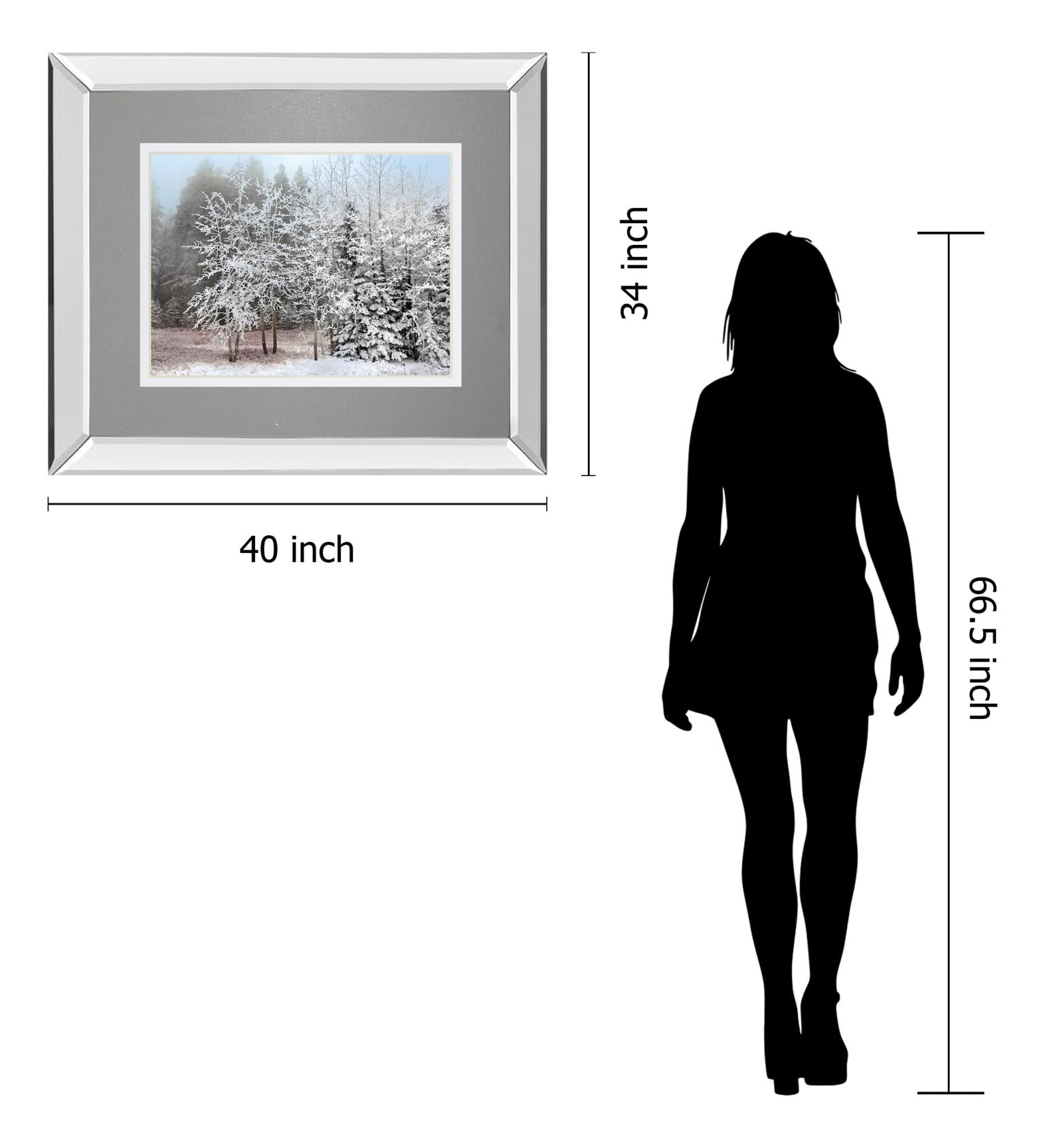 Frosty Morning By Mike Jone 34X40 Mirror Frame Print