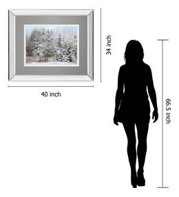 Frosty Morning By Mike Jone 34X40 Mirror Frame Print
