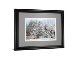 Frosty Morning By Mike Jone 34X40 Framed Print