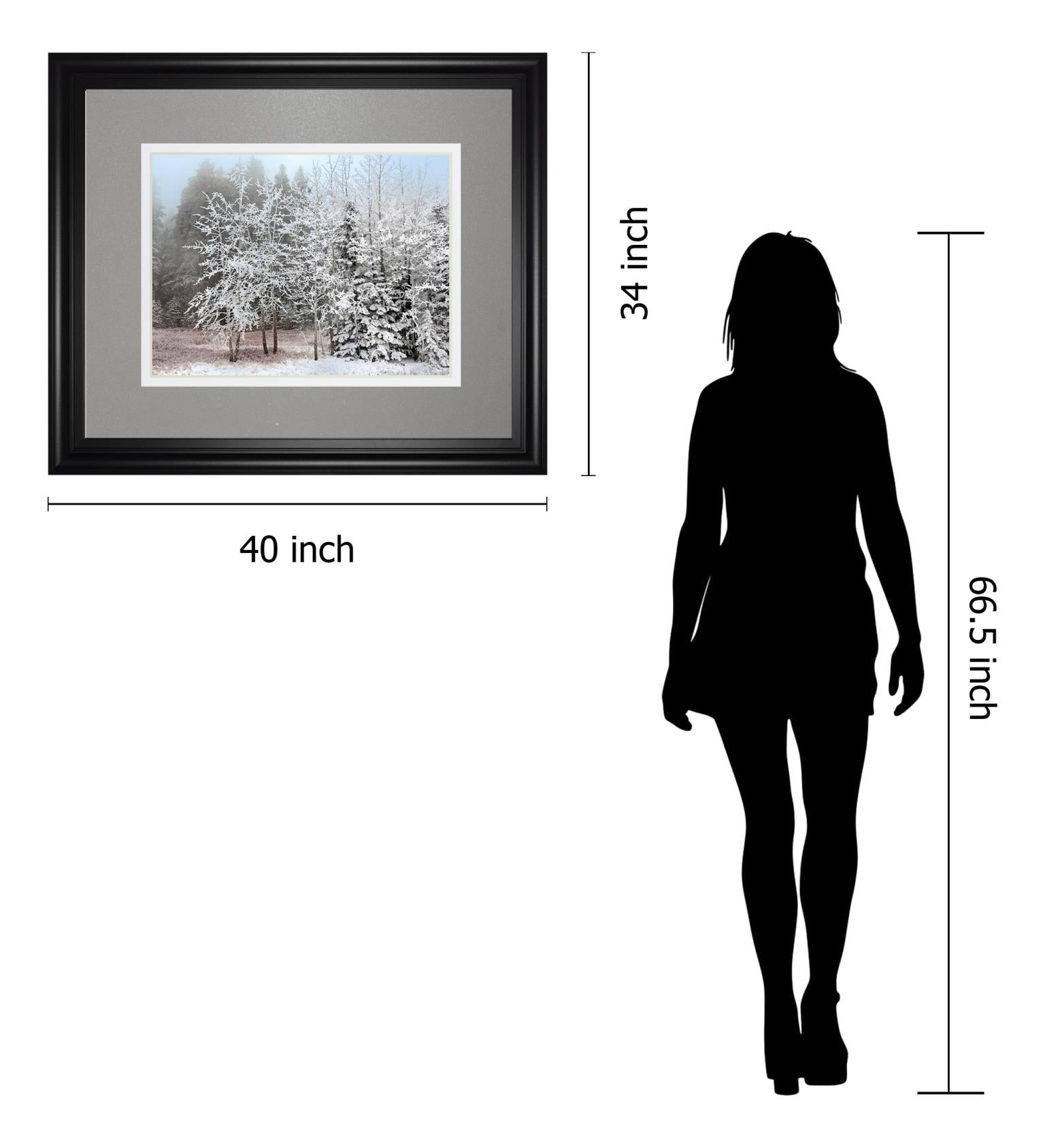 Frosty Morning By Mike Jone 34X40 Framed Print