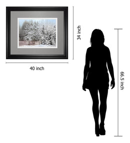 Frosty Morning By Mike Jone 34X40 Framed Print