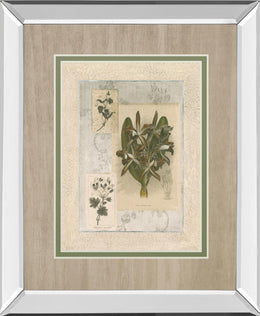 Histoire Du Orchid Vii By Carney 34X40 Mirror Frame Print