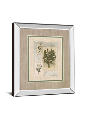Histoire Du Orchid Vii By Carney 34X40 Mirror Frame Print