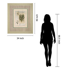 Histoire Du Orchid Vii By Carney 34X40 Framed Print