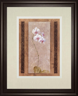 Contemporary Orchid I By Carney 34X40 Framed Print
