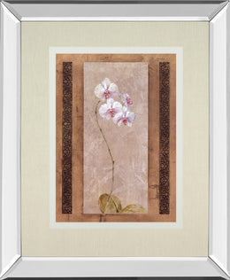 Contemporary Orchid I By Carney 34X40 Mirror Frame Print