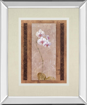 Contemporary Orchid I By Carney 34X40 Mirror Frame Print