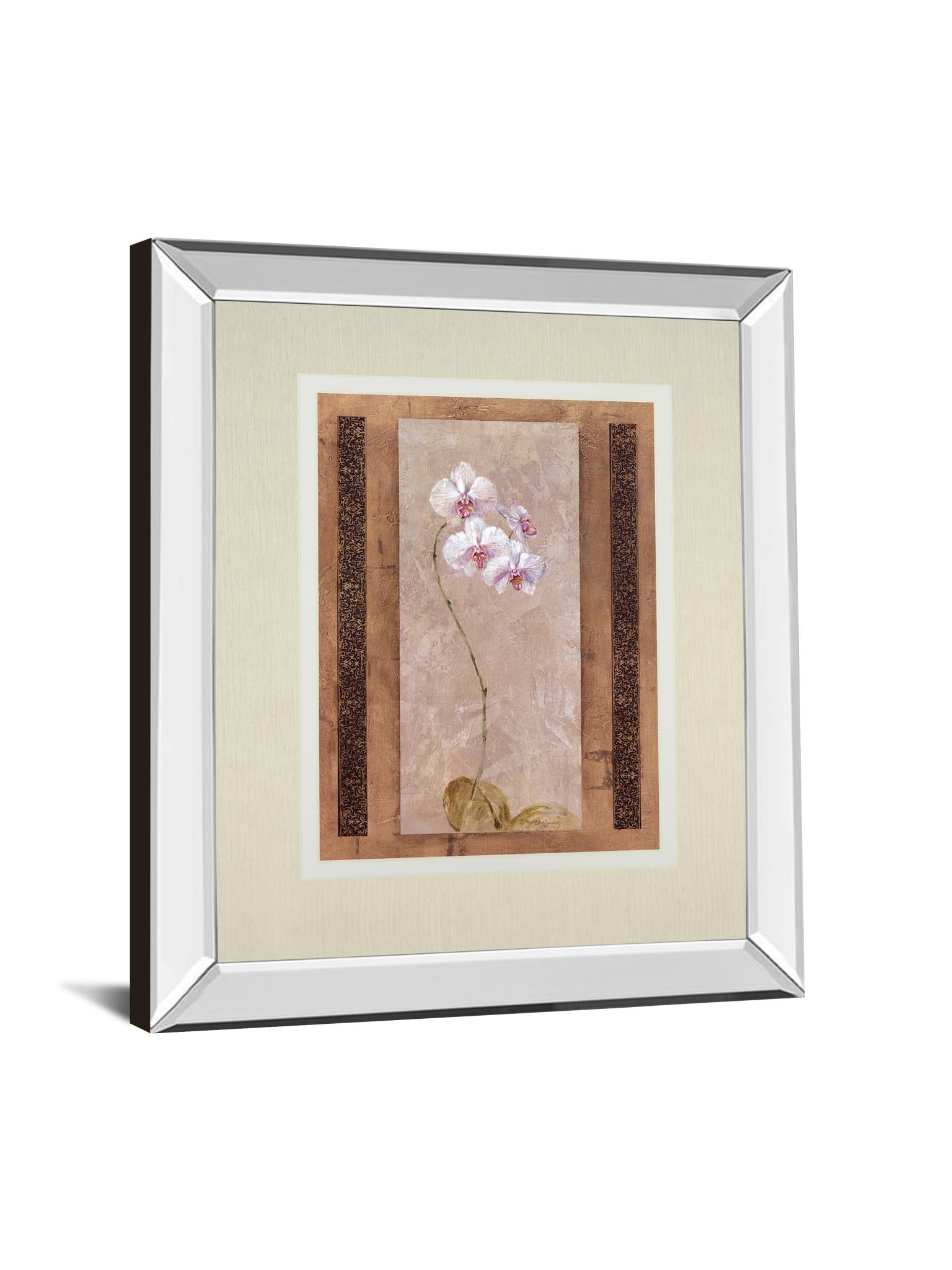 Contemporary Orchid I By Carney 34X40 Mirror Frame Print