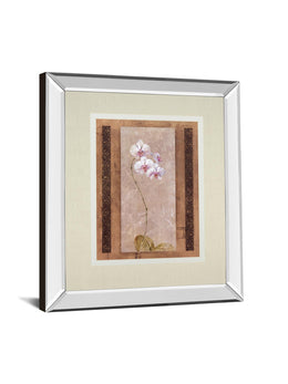 Contemporary Orchid I By Carney 34X40 Mirror Frame Print