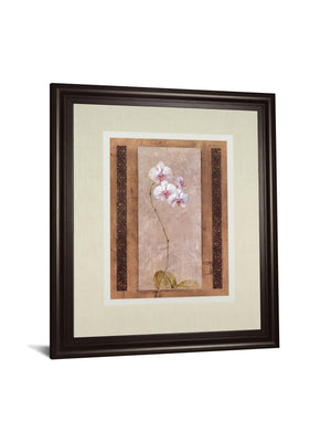 Contemporary Orchid I By Carney 34X40 Framed Print