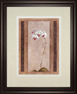 Contemporary Orchid Ii By Carney 34X40 Framed Print
