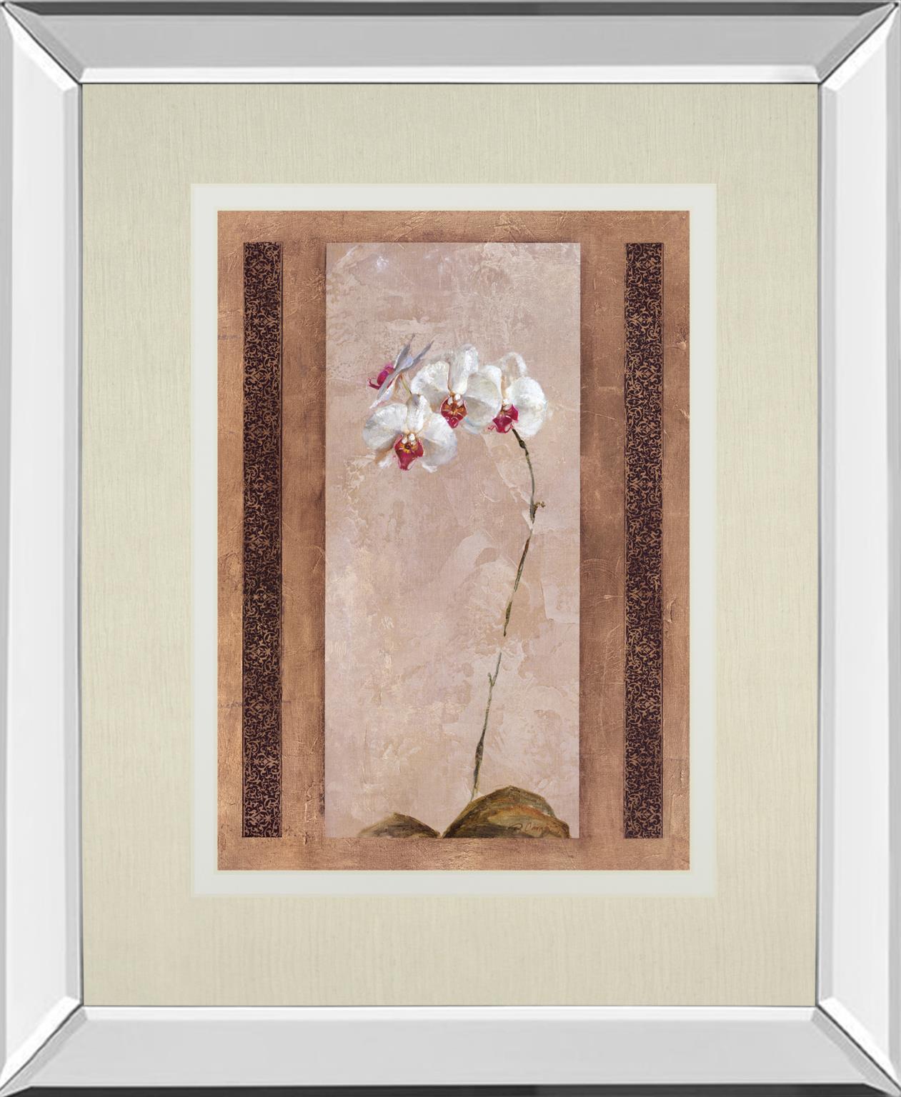 Contemporary Orchid Ii By Carney 34X40 Mirror Frame Print