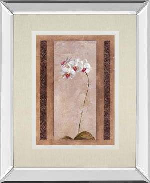 Contemporary Orchid Ii By Carney 34X40 Mirror Frame Print