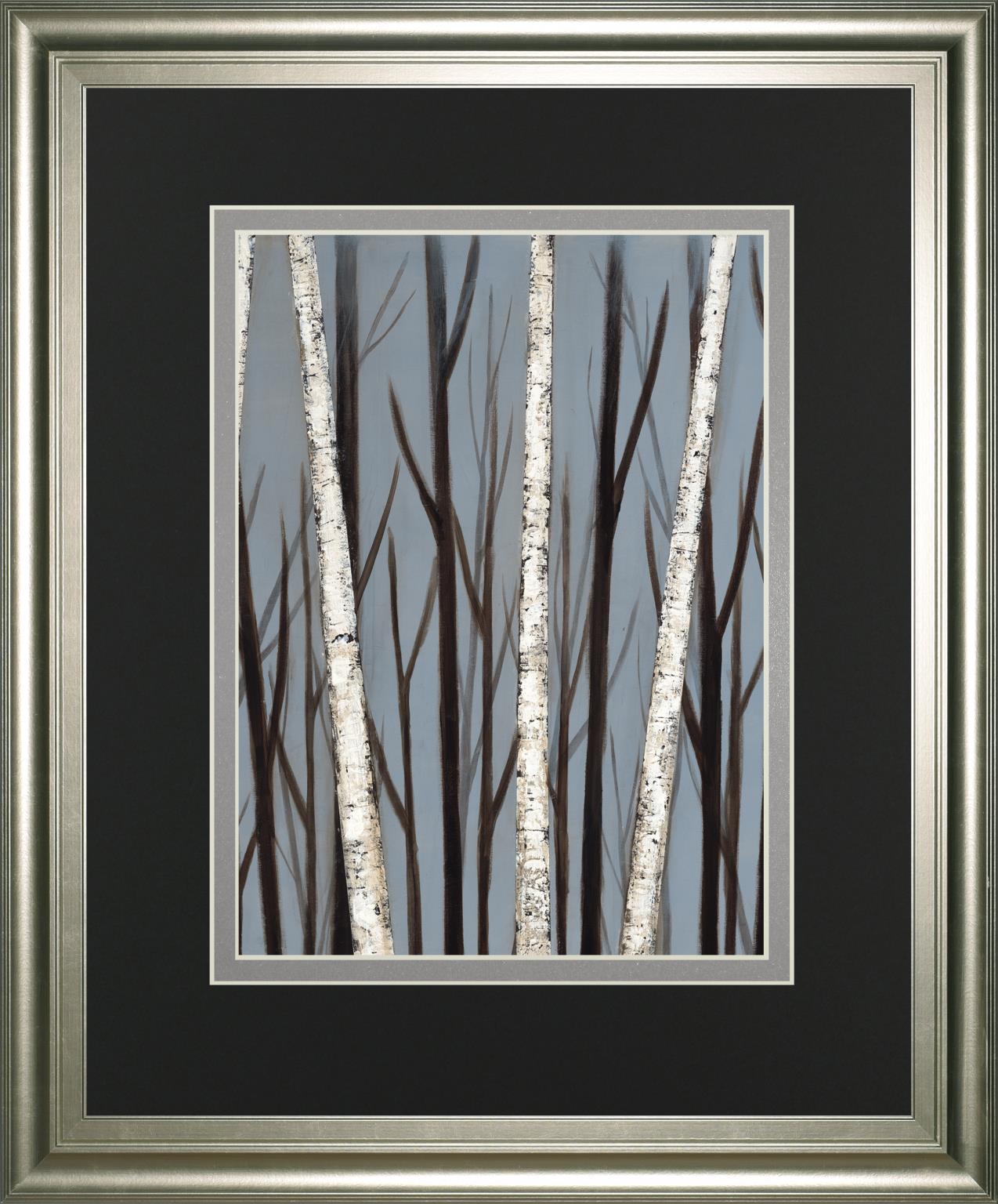 Birch Shadows By Eve 34X40 Framed Print