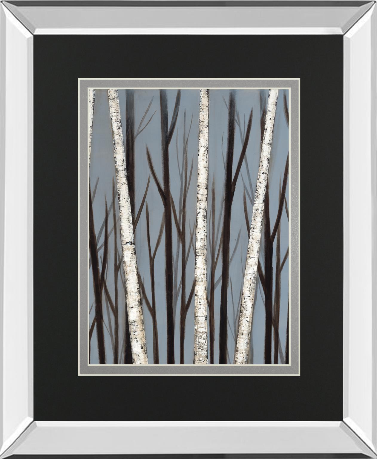 Birch Shadows By Eve 34X40 Mirror Frame Print