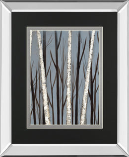 Birch Shadows By Eve 34X40 Mirror Frame Print