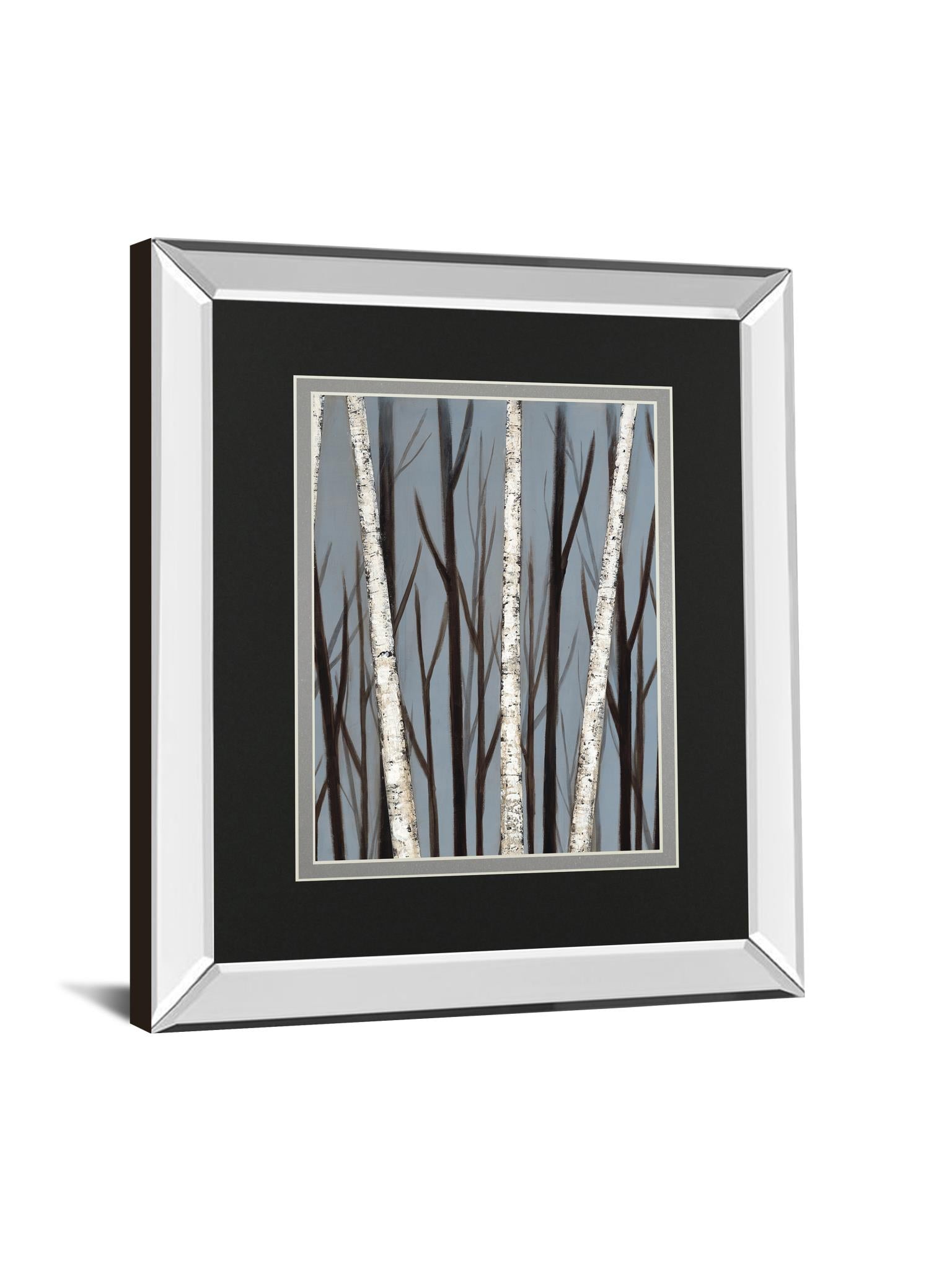 Birch Shadows By Eve 34X40 Mirror Frame Print