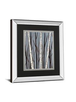 Birch Shadows By Eve 34X40 Mirror Frame Print