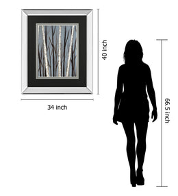Birch Shadows By Eve 34X40 Mirror Frame Print