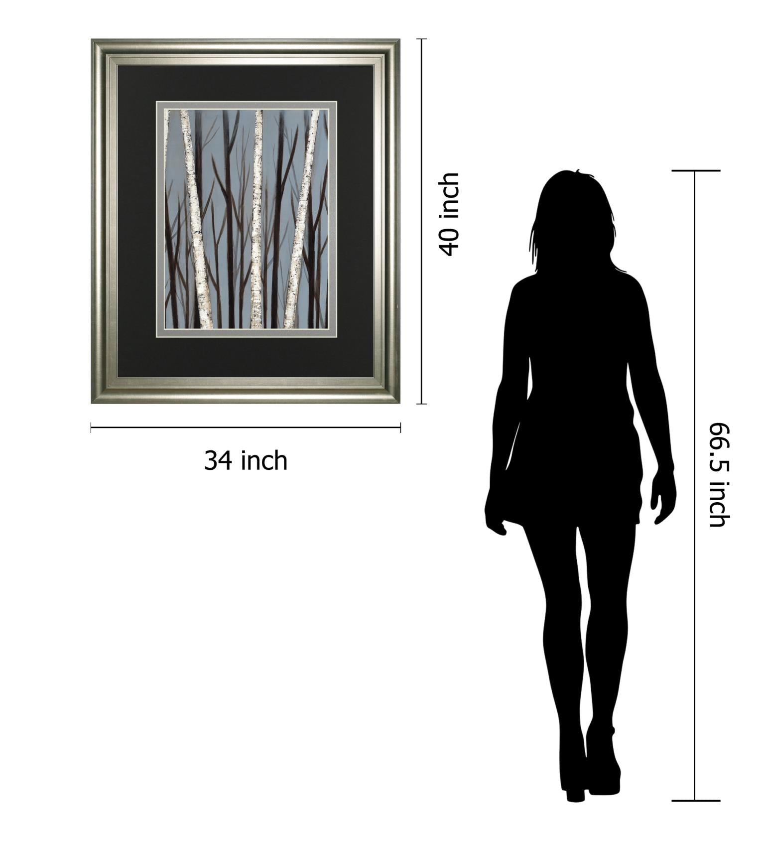 Birch Shadows By Eve 34X40 Framed Print