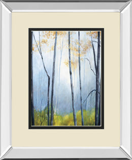 Tranquil River By Striffolino, R. 34X40 Mirror Frame Print