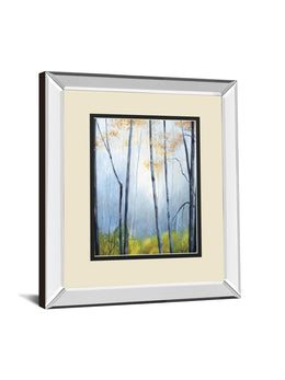Tranquil River By Striffolino, R. 34X40 Mirror Frame Print