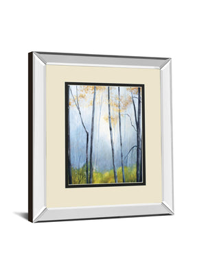 Tranquil River By Striffolino, R. 34X40 Mirror Frame Print