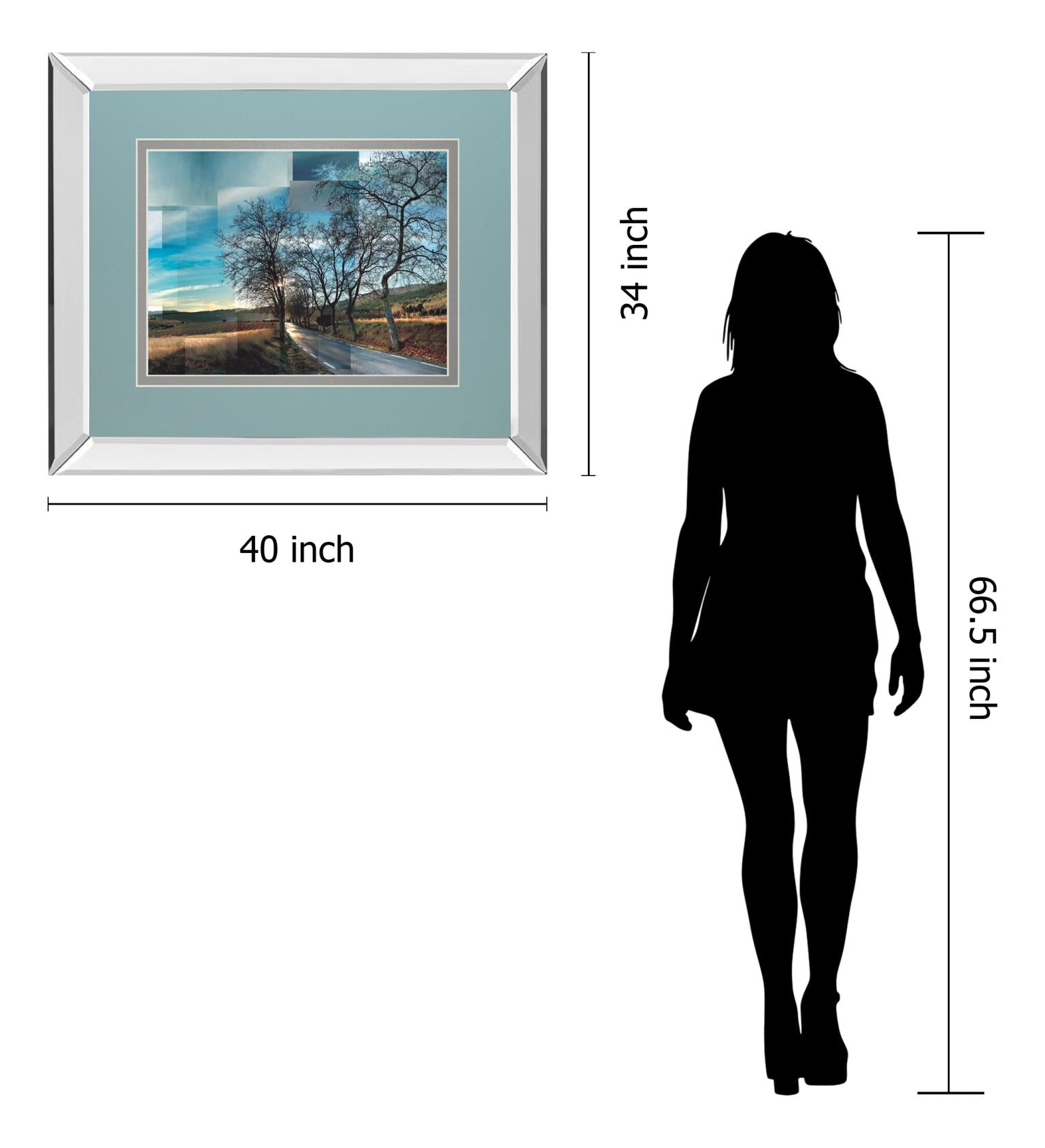 Penedes Vineyards By Ventosa, P. 34X40 Mirror Frame Print