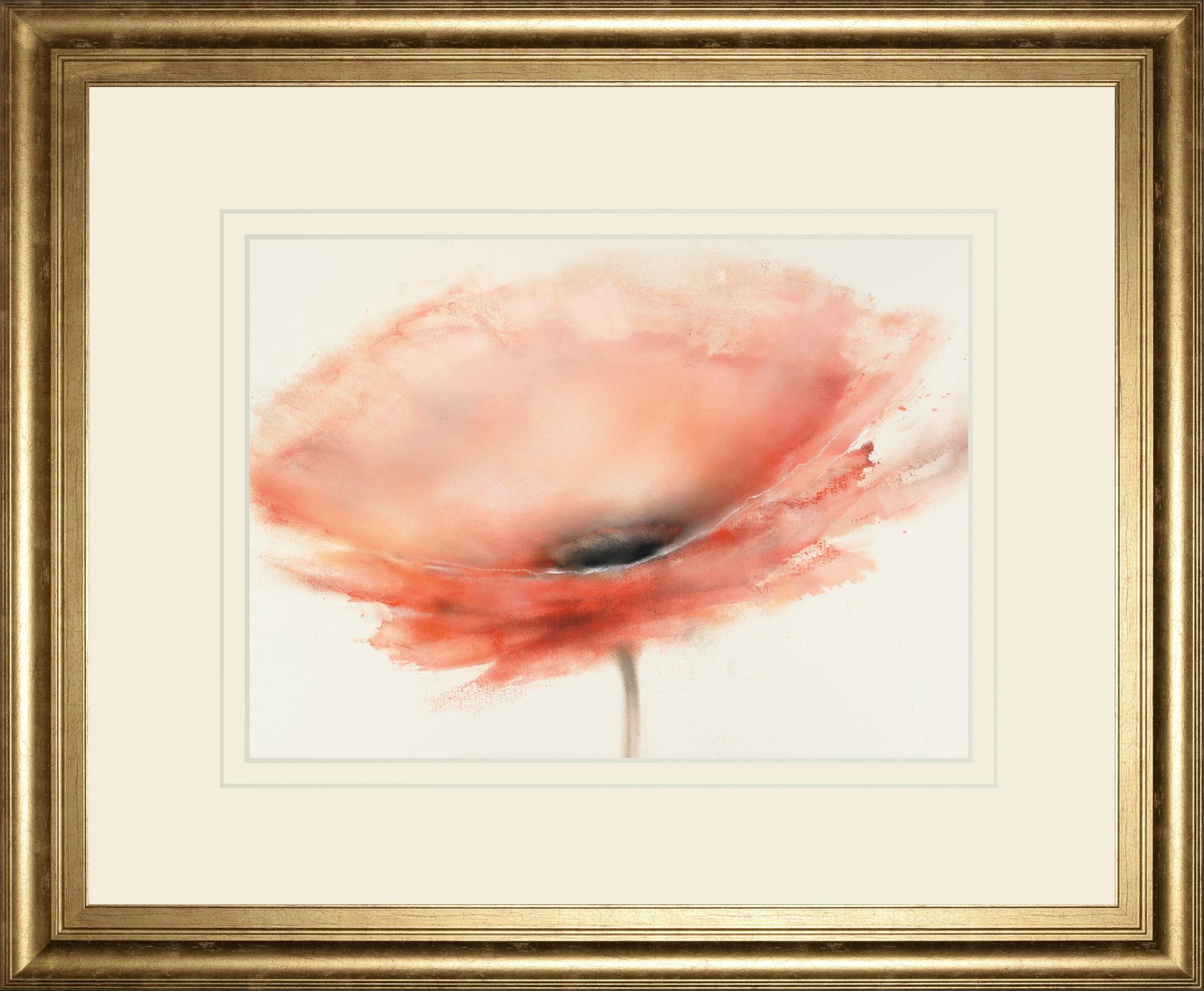 Chiffon Poppy By Prior, J.P. 34X40 Framed Print