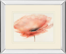 Chiffon Poppy By Prior, J.P. 34X40 Mirror Frame Print