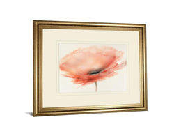 Chiffon Poppy By Prior, J.P. 34X40 Framed Print