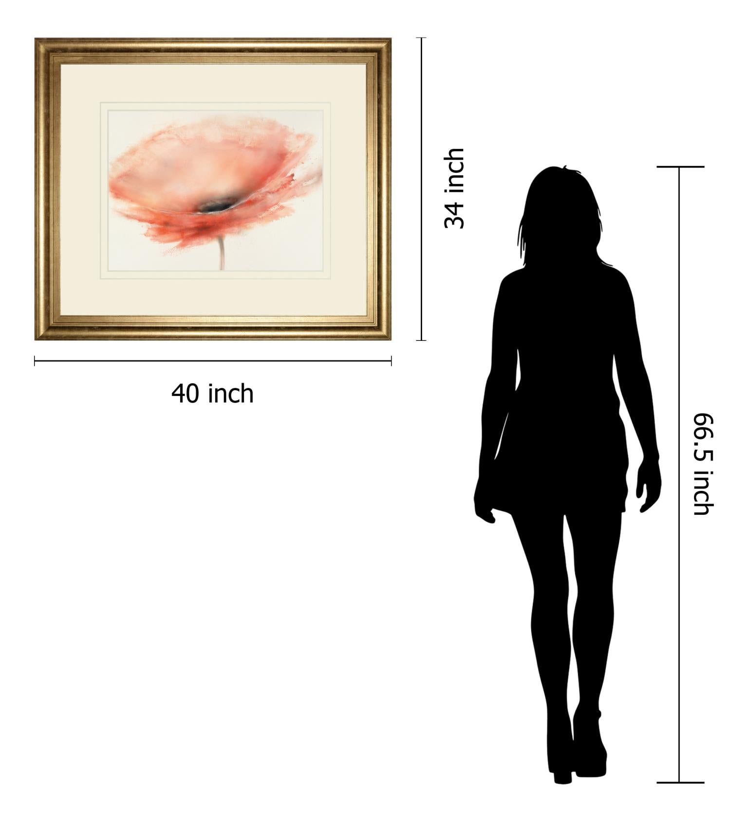 Chiffon Poppy By Prior, J.P. 34X40 Framed Print