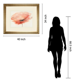 Chiffon Poppy By Prior, J.P. 34X40 Framed Print