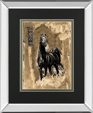Quick Silver By Wiley, M.G. 34X40 Mirror Frame Print