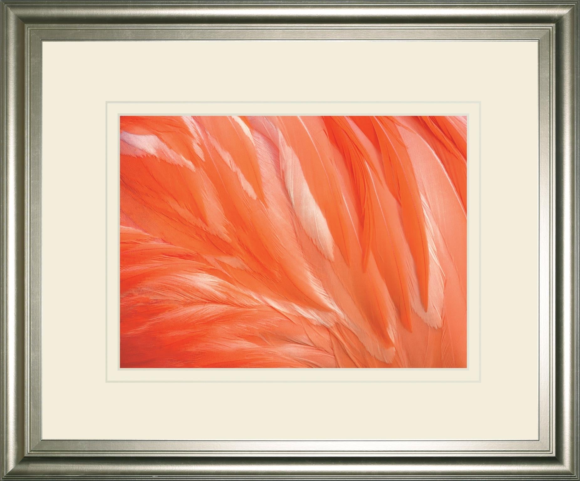 Danza De La Pluna By Ortegam X. 34X40 Framed Print