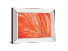 Danza De La Pluna By Ortegam X. 34X40 Mirror Frame Print
