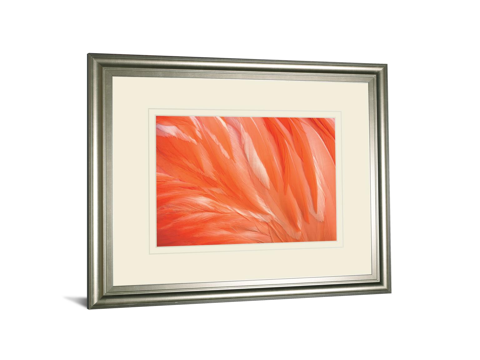 Danza De La Pluna By Ortegam X. 34X40 Framed Print