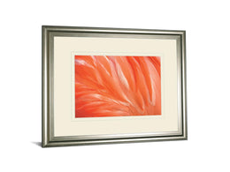 Danza De La Pluna By Ortegam X. 34X40 Framed Print