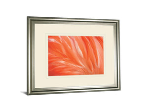 Danza De La Pluna By Ortegam X. 34X40 Framed Print