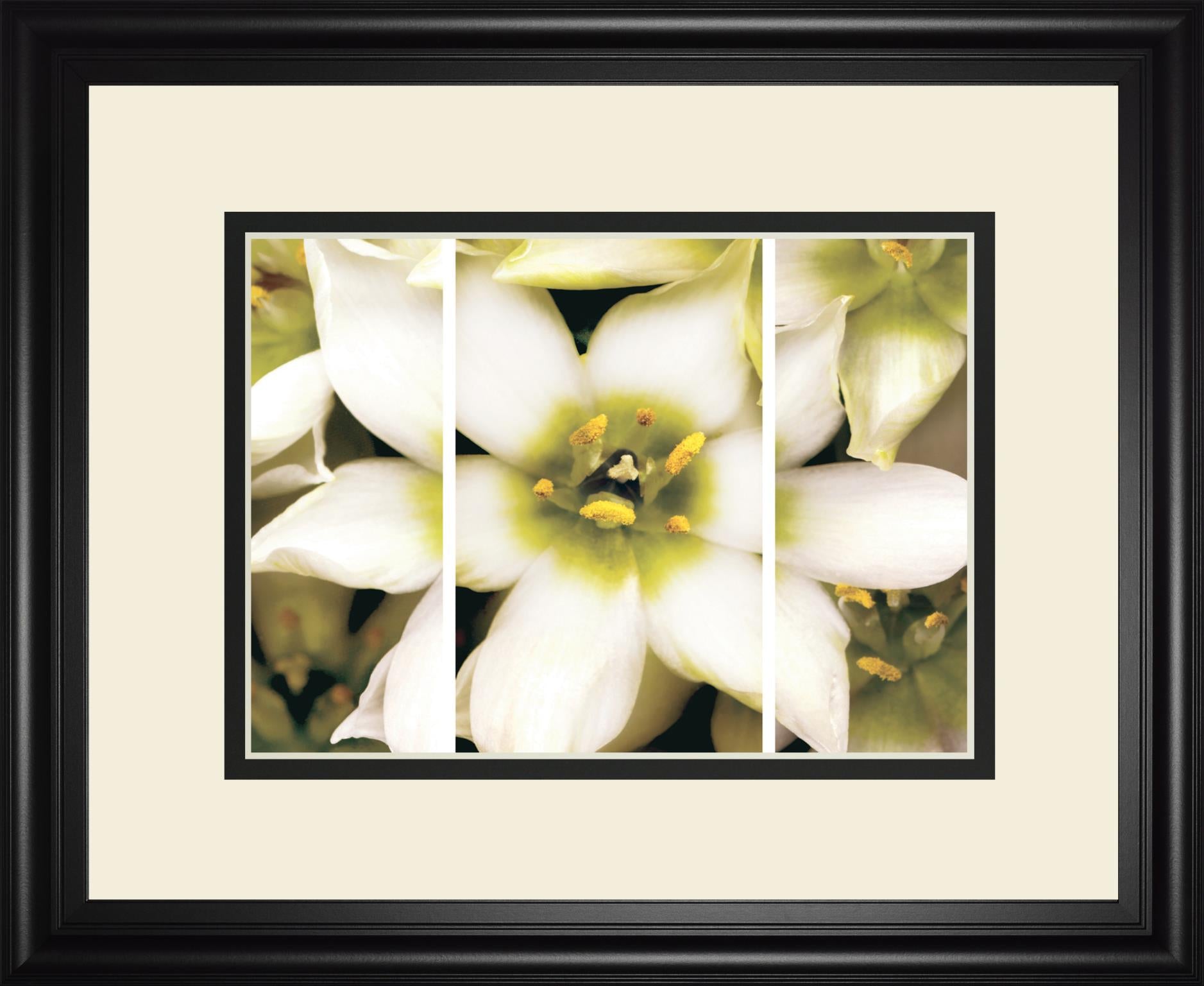 Star Of Bethlehem Triptych By Levine, A. 34X40 Framed Print