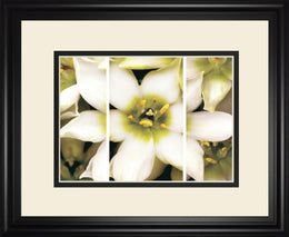 Star Of Bethlehem Triptych By Levine, A. 34X40 Framed Print