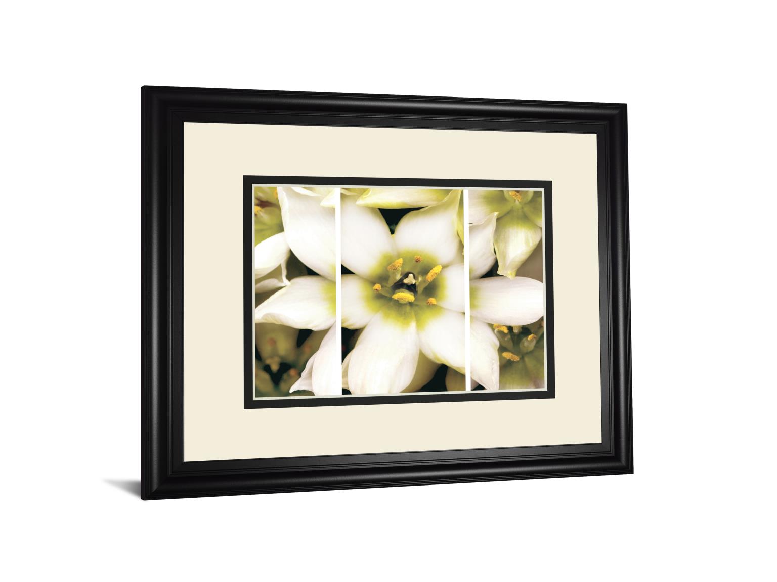 Star Of Bethlehem Triptych By Levine, A. 34X40 Framed Print