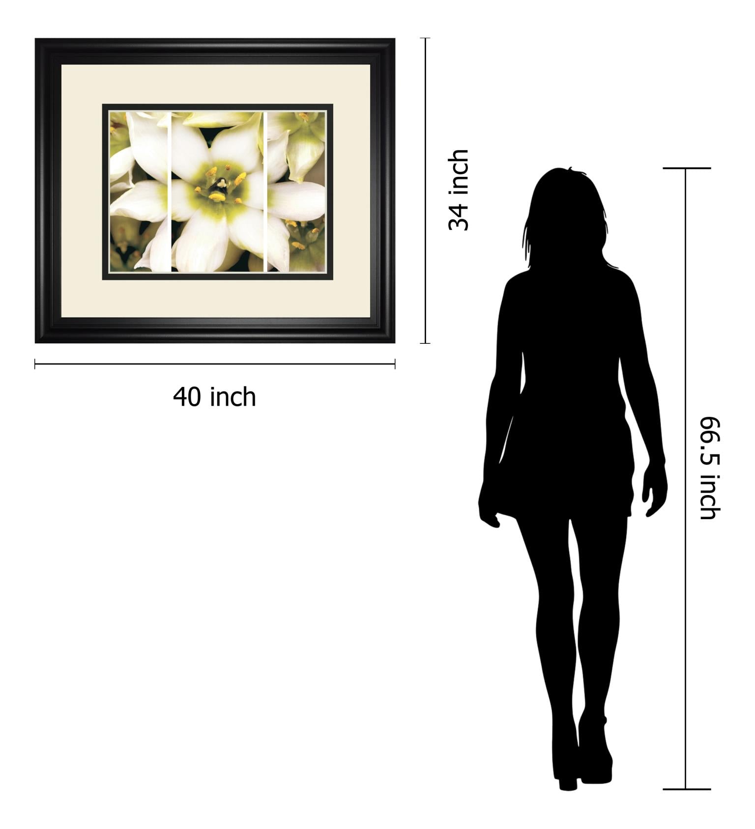 Star Of Bethlehem Triptych By Levine, A. 34X40 Framed Print