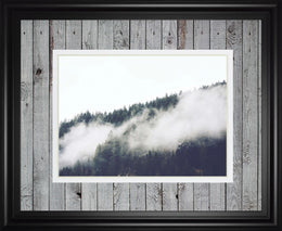 Foggy Forest I By Sisi & Seb 34X40 Framed Print