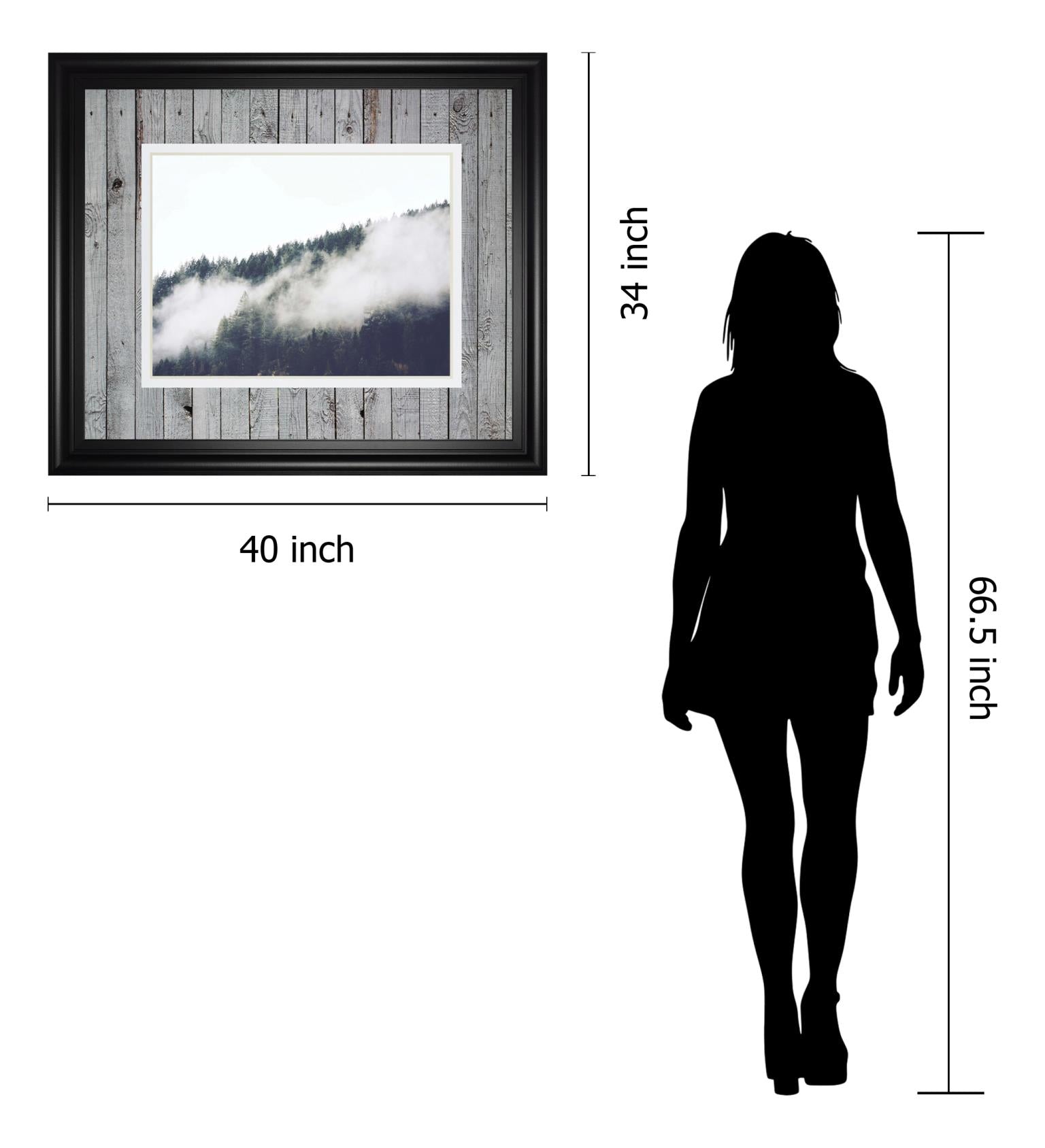 Foggy Forest I By Sisi & Seb 34X40 Framed Print