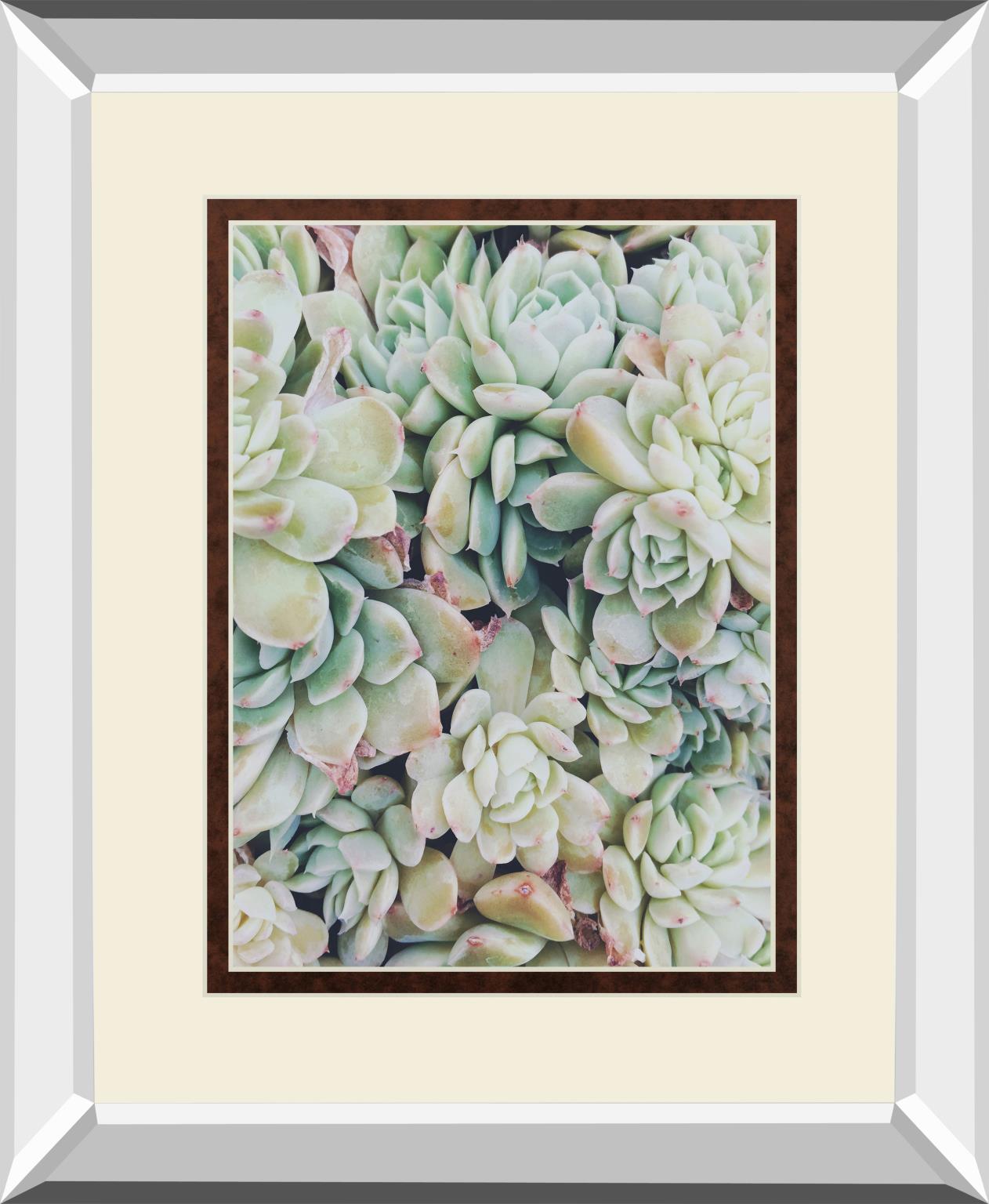 Translucent Succulents By Chelsea Kedron 34X40 Mirror Frame Print