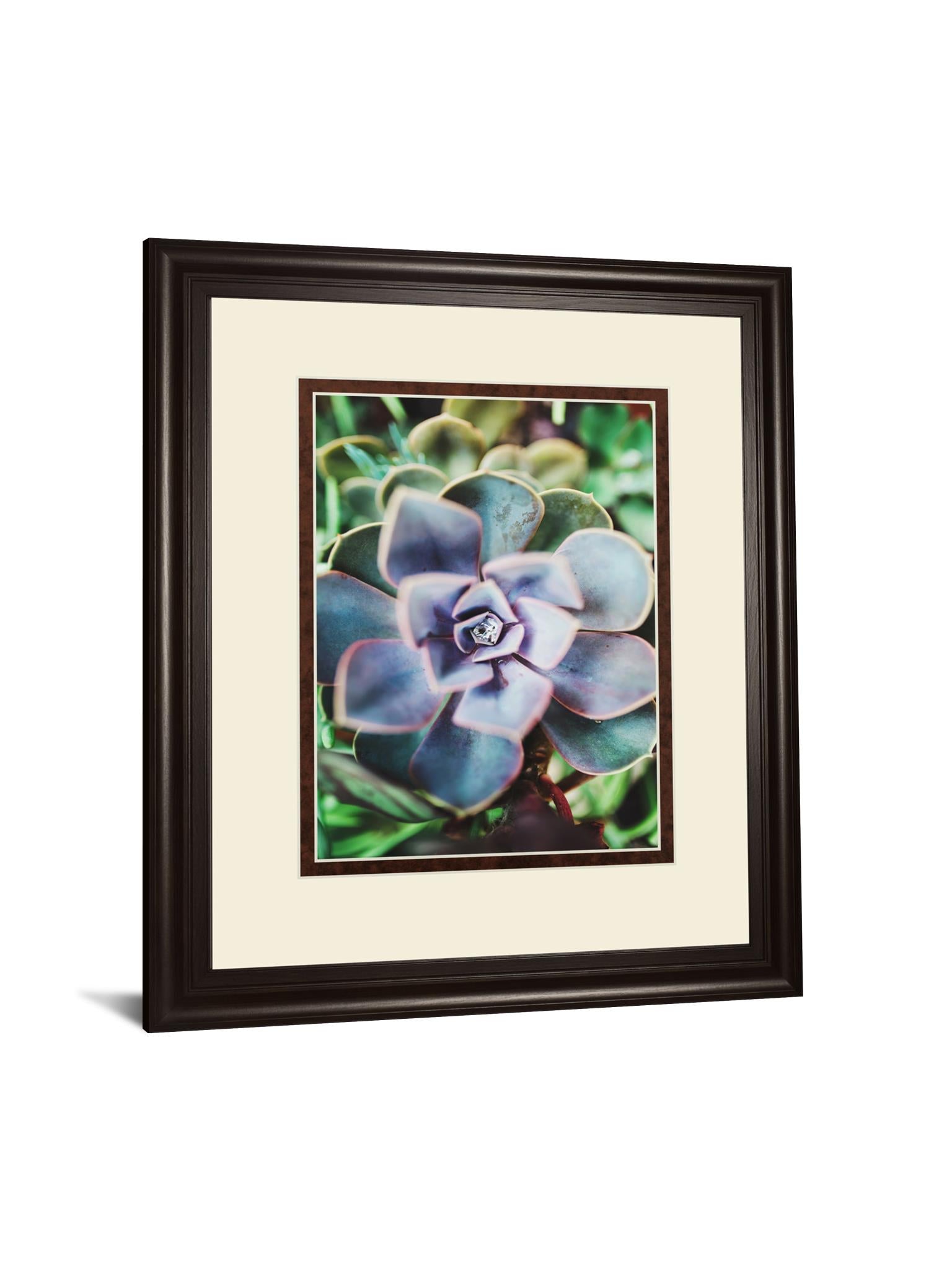 Succulence Beauty  By Chelsea Kedron 34X40 Framed Print