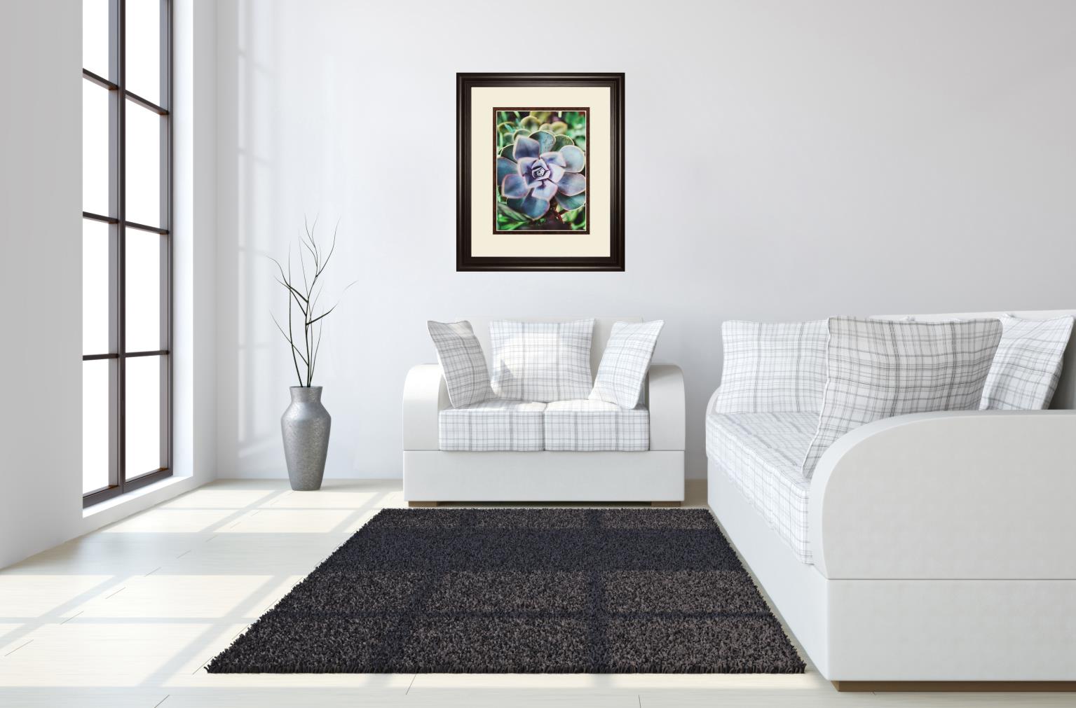 Succulence Beauty  By Chelsea Kedron 34X40 Framed Print